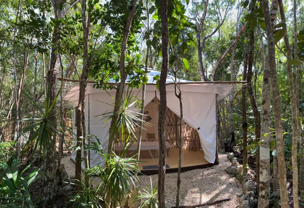 Campsite Kuha Glamping